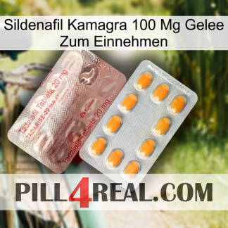 Sildenafil Kamagra 100Mg Oral Jelly new13